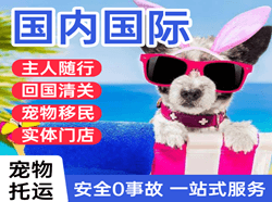 安阳红旗渠航空物流国际宠物托运 【国